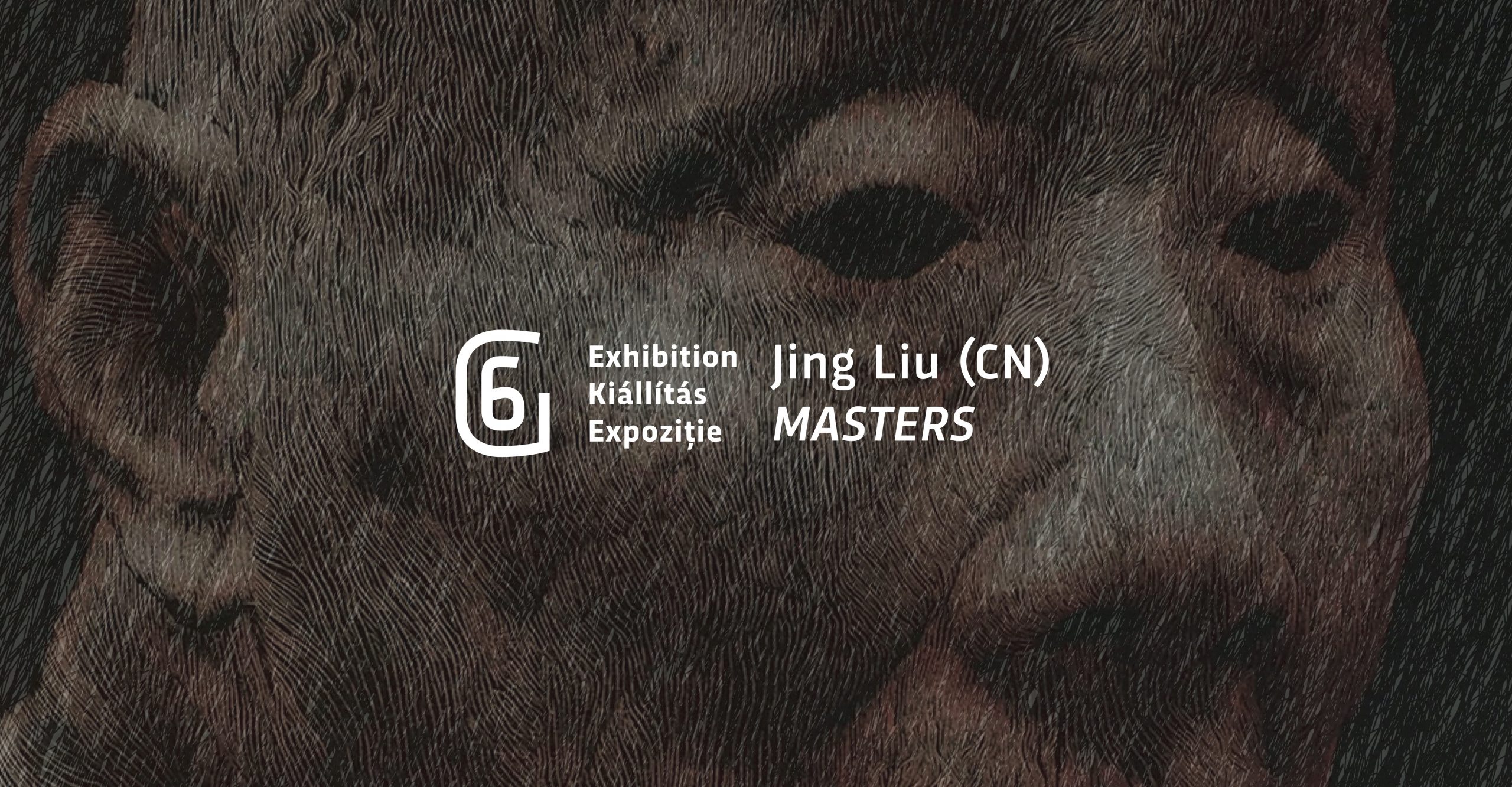 Jing Liu _ OnLine Expo 1-1